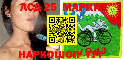 молекула духа Краснодар