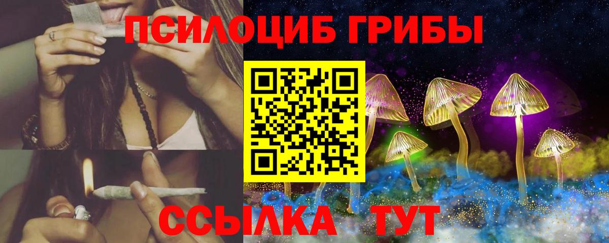 Дзержинский  Галлюциногенные грибы Psilocybe  Вход с VPN  Псилоцибиновые грибы Psilocybine cubensis 